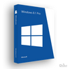 Windows 8.1 Professional