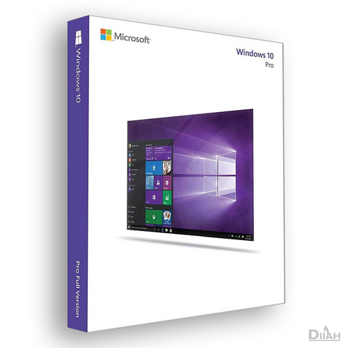 Windows 10 Professional